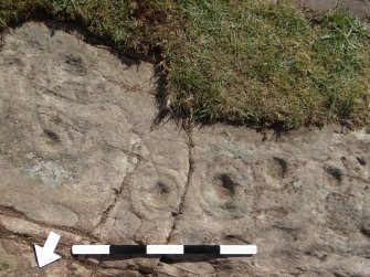 Digital photograph of close ups of motifs, from Scotland’s Rock Art Project, Drumtroddan 11, Dumfries and Galloway