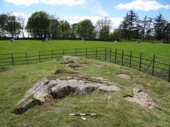 Digital photograph of rock art panel context, Scotland's Rock Art Project, Drumtroddan 11, Dumfries and Galloway