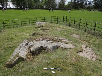 Digital photograph of panel to south-west, from Scotland’s Rock Art Project, Drumtroddan 11, Dumfries and Galloway