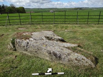 Digital photograph of panel to north-west, from Scotland’s Rock Art Project, Drumtroddan 11, Dumfries and Galloway