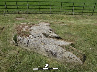 Digital photograph of panel to north-west, from Scotland’s Rock Art Project, Drumtroddan 11, Dumfries and Galloway