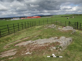 Digital photograph of panel to north-east, from Scotland’s Rock Art Project, Drumtroddan 11, Dumfries and Galloway