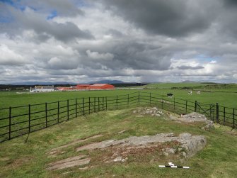 Digital photograph of panel in context with scale, from Scotland’s Rock Art Project, Drumtroddan 11, Dumfries and Galloway