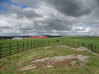 Digital photograph of panel in context without scale, from Scotland’s Rock Art Project, Drumtroddan 11, Dumfries and Galloway