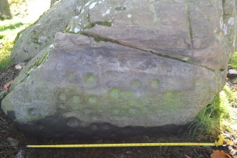 Digital photograph of rock art panel close up of motifs, Scotland's Rock Art Project, Achaneas, Highland