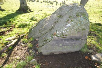 Digital photograph of rock art panel context, Scotland's Rock Art Project, Achaneas, Highland