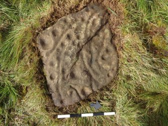 Digital photograph of rock art panel context, Scotland's Rock Art Project, Ardoch, Highland