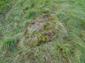 Digital photograph of rock art panel context, Scotland's Rock Art Project, Ardoch, Highland