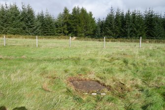 Digital photograph of panel to north, Scotland's Rock Art Project, Ardoch, Highland