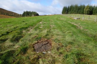 Digital photograph of panel to west, Scotland's Rock Art Project, Ardoch, Highland