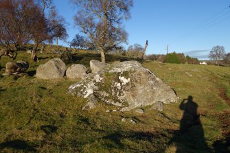 Digital photograph of panel to north, from Scotland's Rock Art Project, Balnafoich 2, Highland