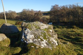 Digital photograph of panel to east, from Scotland's Rock Art Project, Balnafoich 2, Highland