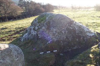 Digital photograph of panel to south, from Scotland's Rock Art Project, Balnafoich 2, Highland