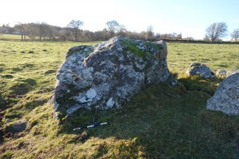 Digital photograph of panel to west, from Scotland's Rock Art Project, Balnafoich 2, Highland