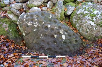 Digital photograph of rock art panel context, Scotland's Rock Art Project, Balnuarin of Clava North East Kerb, Highland