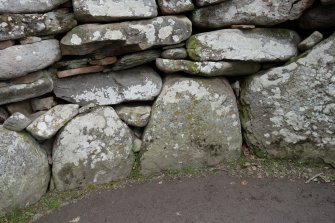 Digital photograph of rock art panel context, Scotland's Rock Art Project, Balnuarin of Clava South West Hidden, Highland