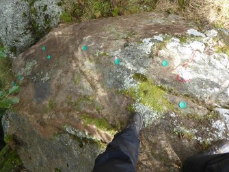 Digital photograph of rock art panel context, Scotland's Rock Art Project, Dalreoich 4, Highland