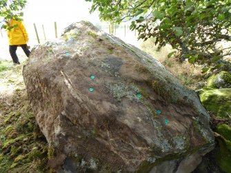 Digital photograph of rock art panel context, Scotland's Rock Art Project, Dalreoich 4, Highland