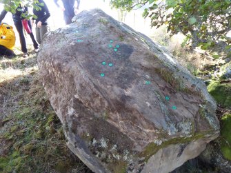 Digital photograph of rock art panel context, Scotland's Rock Art Project, Dalreoich 4, Highland