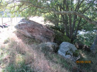 Digital photograph of panel in context without scale, Scotland's Rock Art Project, Dalreoich 4, Highland