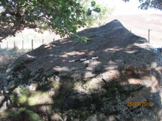 Digital photograph of panel to east, from Scotland's Rock Art Project, Dalreoich 4, Highland