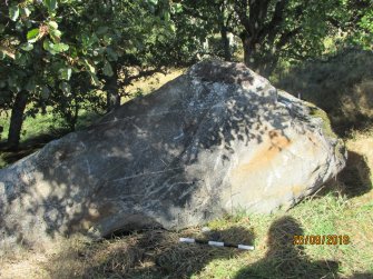 Digital photograph of panel to north, from Scotland's Rock Art Project, Dalreoich 4, Highland