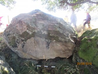 Digital photograph of panel to south, from Scotland's Rock Art Project, Dalreoich 4, Highland