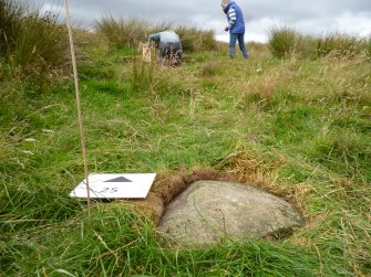 Digital photograph of panel to north, from Scotland's Rock Art Project, Druim Mor 25, Highland