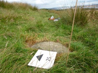 Digital photograph of panel to east, from Scotland's Rock Art Project, Druim Mor 25, Highland