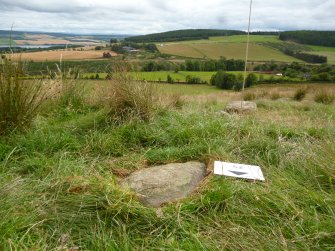 Digital photograph of panel to south, from Scotland's Rock Art Project, Druim Mor 25, Highland