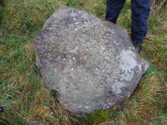 Digital photograph of rock art panel context, Scotland's Rock Art Project, Fodderty 3, Highland