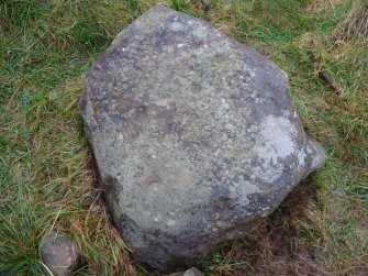 Digital photograph of rock art panel context, Scotland's Rock Art Project, Fodderty 3, Highland