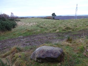 Digital photograph of panel to south, from Scotland's Rock Art Project, Fodderty 3, Highland