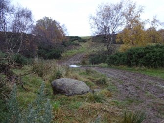 Digital photograph of panel to east, from Scotland's Rock Art Project, Fodderty 3, Highland