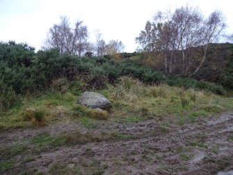 Digital photograph of panel to north, from Scotland's Rock Art Project, Fodderty 3, Highland