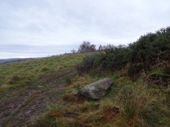 Digital photograph of panel to west, from Scotland's Rock Art Project, Fodderty 3, Highland