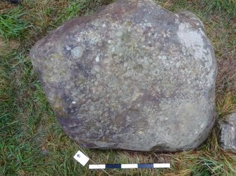 Digital photograph of perpendicular to carved surface(s), from Scotland's Rock Art Project, Fodderty 3, Highland