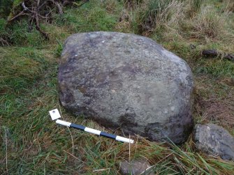 Digital photograph of rock art panel context, Scotland's Rock Art Project, Fodderty 3, Highland