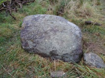 Digital photograph of rock art panel context, Scotland's Rock Art Project, Fodderty 3, Highland