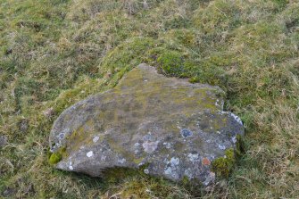 Digital photograph of panel before cleaning, Scotland's Rock Art Project, Jamestown, Highland