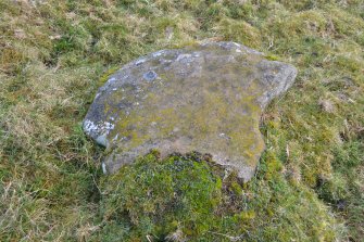 Digital photograph of panel before cleaning, Scotland's Rock Art Project, Jamestown, Highland