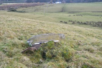 Digital photograph of panel to east, Scotland's Rock Art Project, Jamestown, Highland