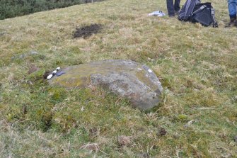 Digital photograph of panel to north, Scotland's Rock Art Project, Jamestown, Highland