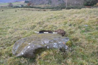 Digital photograph of panel to west, Scotland's Rock Art Project, Jamestown, Highland