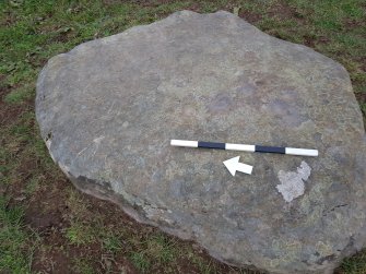 Digital photograph of rock art panel context, Scotland's Rock Art Project, Kinerras, Highland