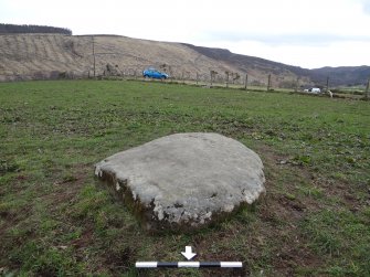 Digital photograph of panel to south, Scotland's Rock Art Project, Kinneras, Highland