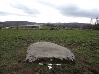 Digital photograph of panel to west, Scotland's Rock Art Project, Kinneras, Highland