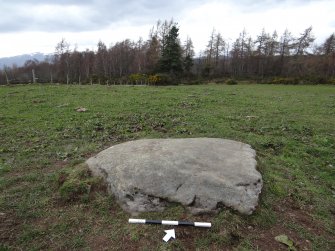 Digital photograph of panel to north-west, Scotland's Rock Art Project, Kinneras, Highland