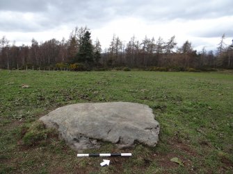 Digital photograph of rock art panel context, Scotland's Rock Art Project, Kinerras, Highland