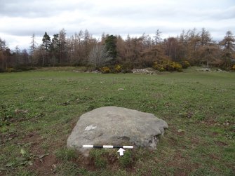 Digital photograph of panel to north, Scotland's Rock Art Project, Kinneras, Highland